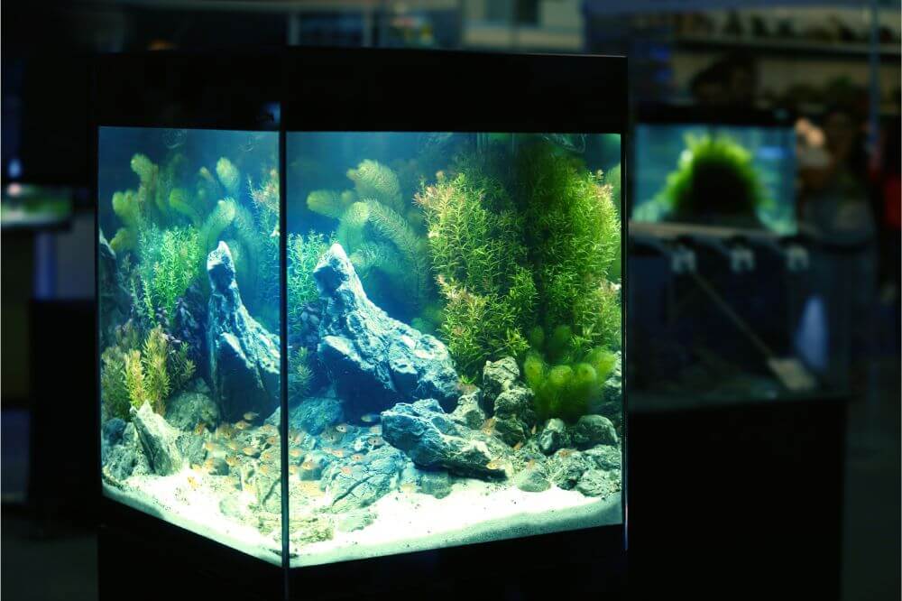 MarineLand Contour Glass Aquarium Kit